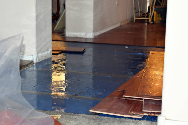 Professional Sewage Cleanup technician working in Custer, WI